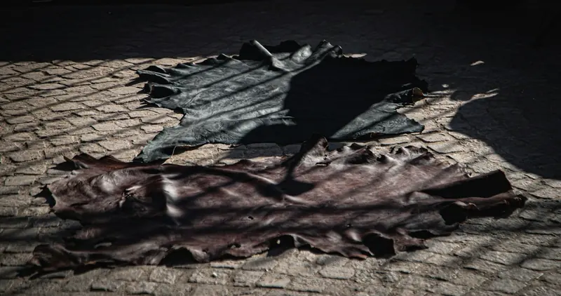 Two leather sides laid out on a cobbled floor in raking light